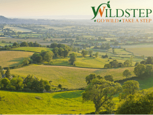 Sponsor 1m² of Land - Holsworthy Project